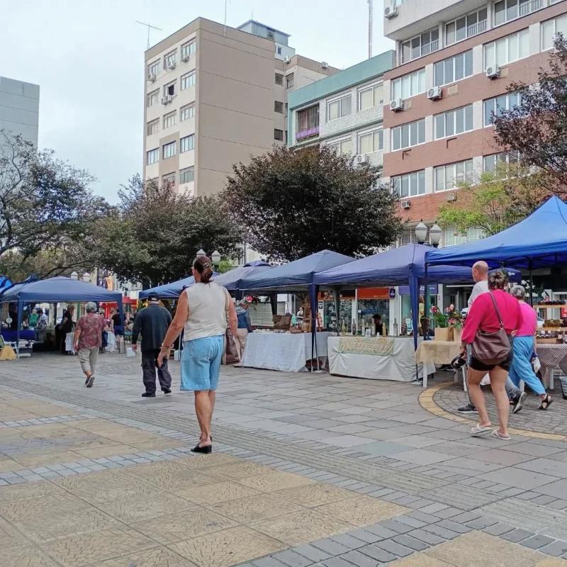 Dia de Feira de Artesanato da ASBG na Via Del Vino!