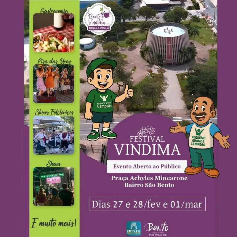Festival Vindima