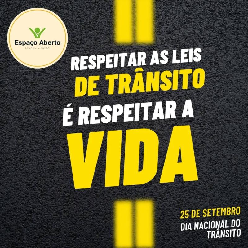 O Dia do Trânsito