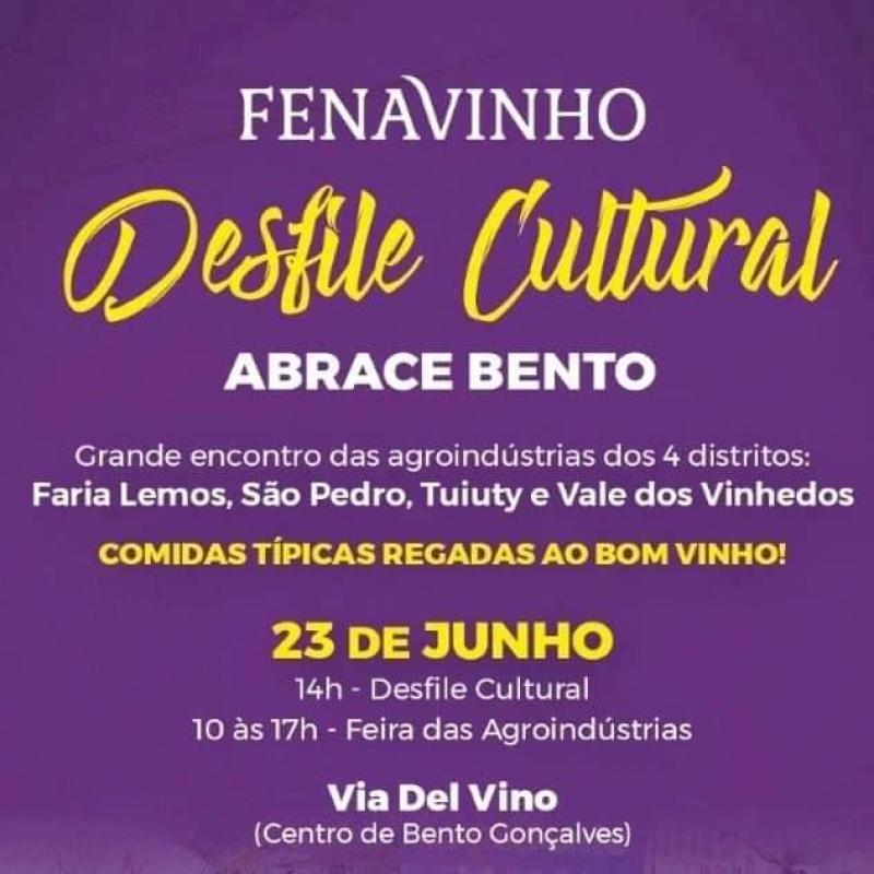 Desfile Cultural da Fenavinho